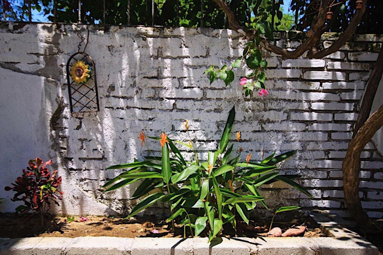 Casita Piedra Leilighet Puerto Escondido  Eksteriør bilde